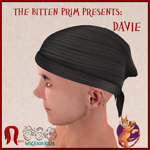 Hair Fair 2013 - BP Davie